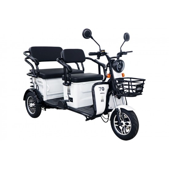 Elektrikli Motor
